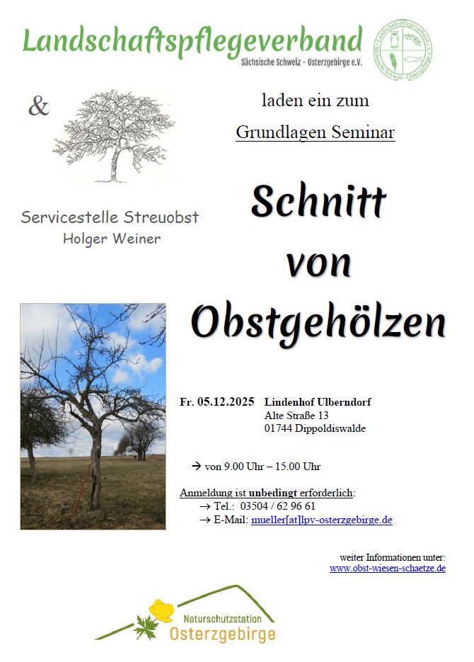 tl_files/downloads/pdf_plakate/2025/2025-12 Gehoelzschnittseminar.jpg